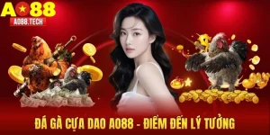 Đá gà cựa dao AO88